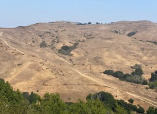 Public feedback wanted for proposed Wildcat Canyon Mountain Bike Trail Public feedback wanted for proposed Wildcat Canyon Mountain Bike Trail
