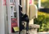 CBS News probe: state policy, not gouging, drives record gas prices CBS News probe: state policy, not gouging, drives record gas prices