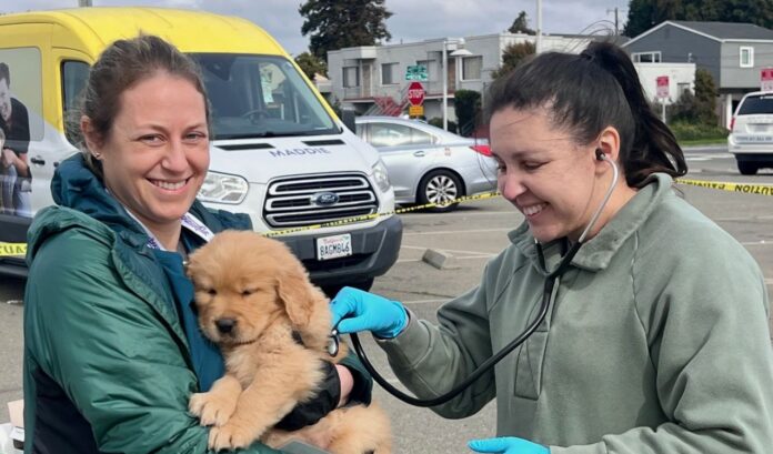 Free pet vaccine and microchip clinic coming to Richmond