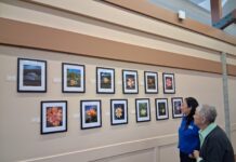 Pinole Valley High students showcase Earth Day photography at senior center Pinole Valley High students showcase Earth Day photography at senior center