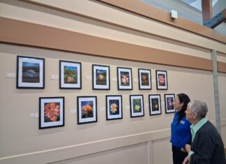 Pinole Valley High students showcase Earth Day photography at senior center Pinole Valley High students showcase Earth Day photography at senior center