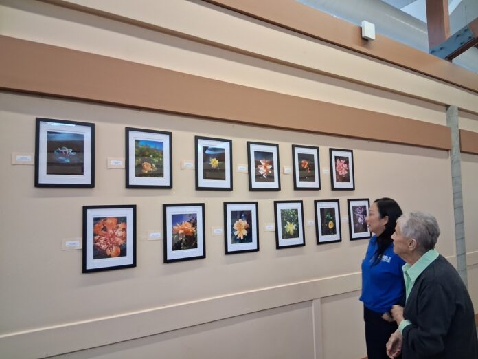 Pinole Valley High students showcase Earth Day photography at senior center